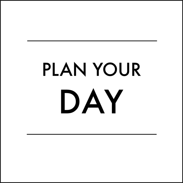 Digital Downloads - Daily Planner