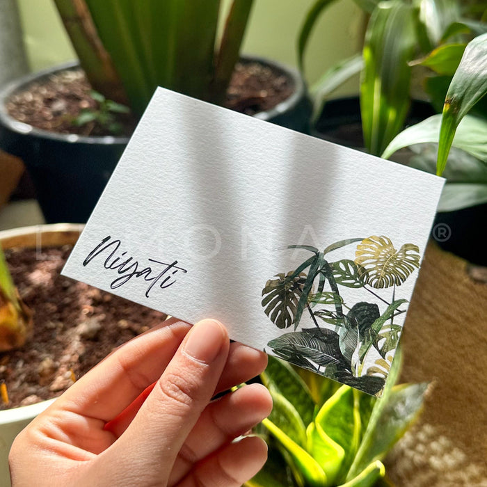 Personalized - Notecards - Monstera