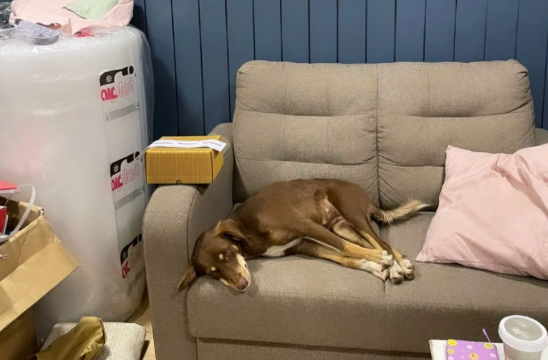 Community & Awareness