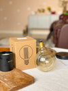 Filament Bulb - G95 - 40W - Prepaid Orders Only - LemonadeHome