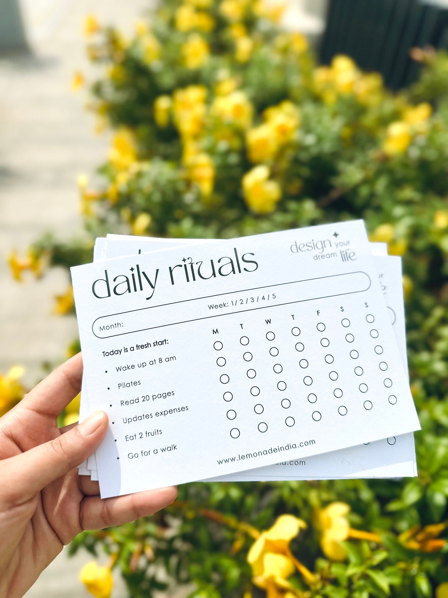 personalised daily habit tracker cards held outdoors
