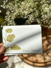 Personalized - Notecards - Evergreen - LemonadeStationery