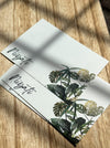 Personalized - Notecards - Monstera - LemonadeStationery