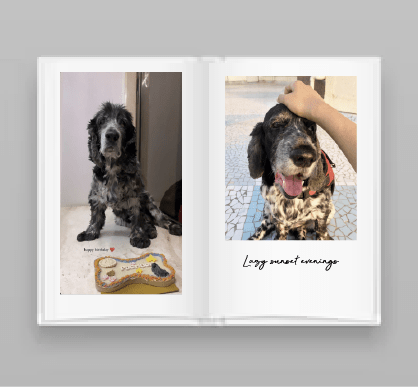 Personalized - Photo Album Book - A5 Size - Lemonade