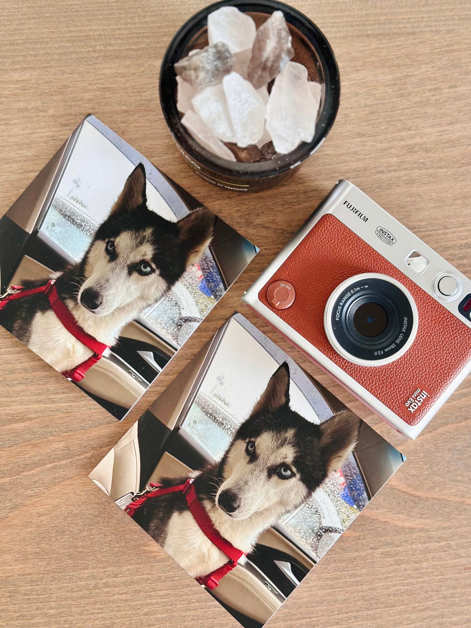 Personalized - Photo Greeting Card - LemonadeStationery