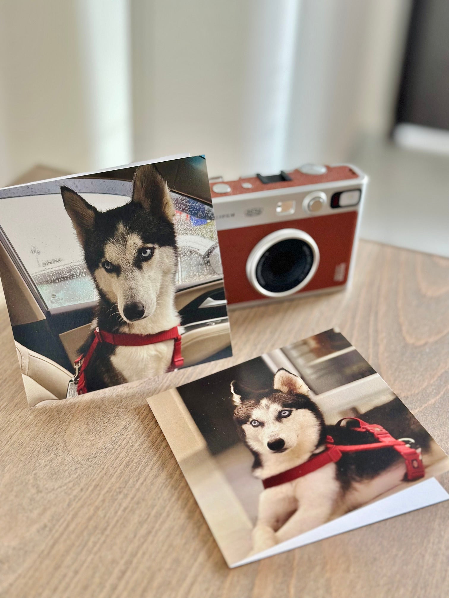 Personalized - Photo Greeting Card - LemonadeStationery