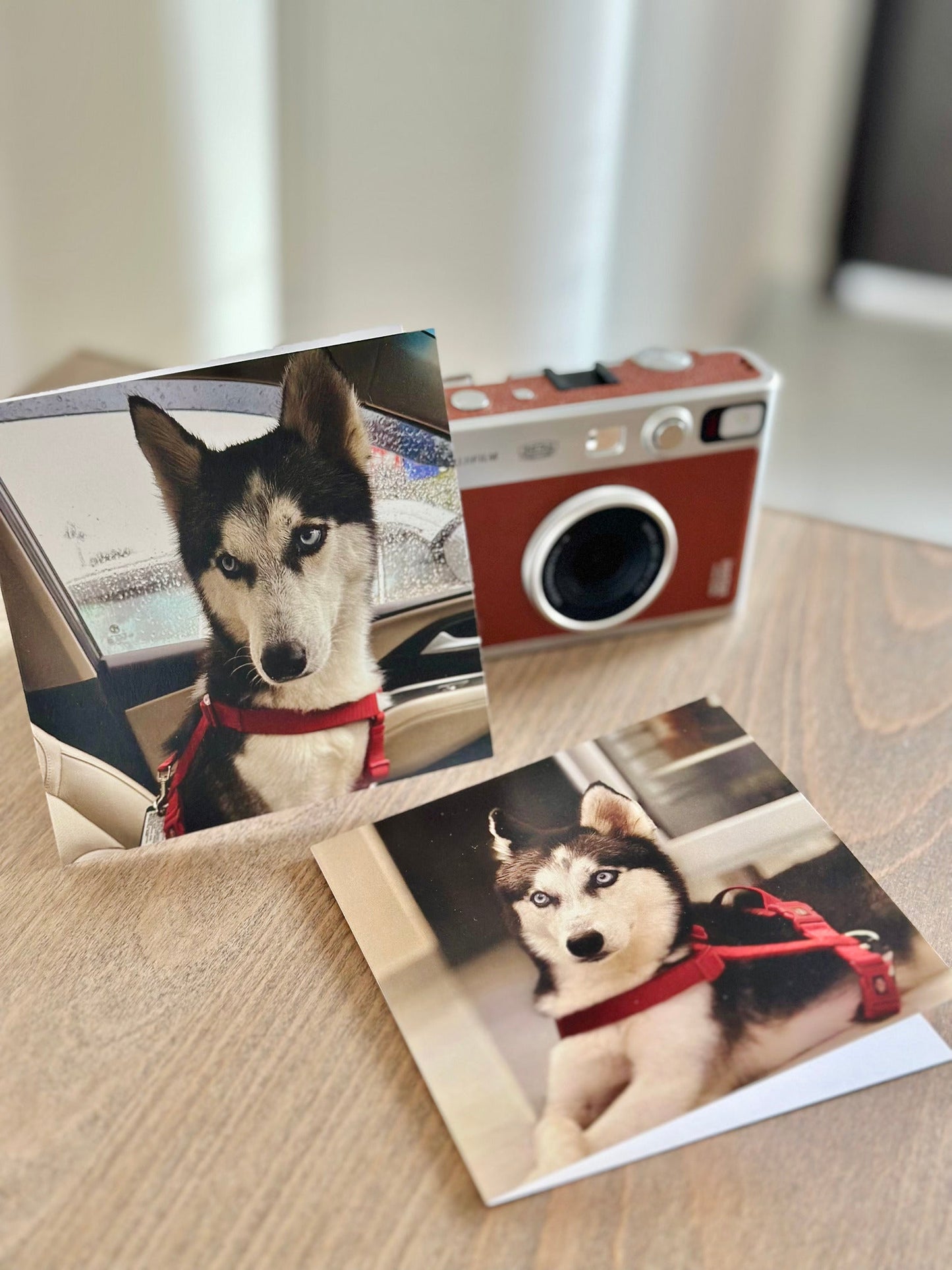 Personalized - Photo Greeting Card - LemonadeStationery