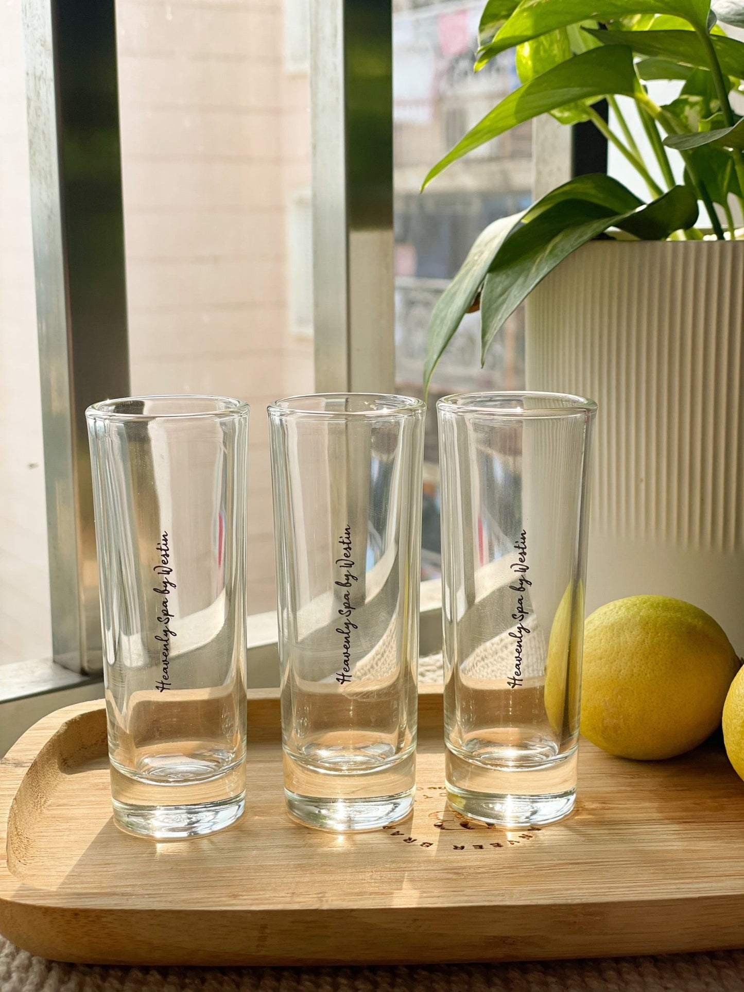 Personalized - Shot Glasses - Black - Set of 2 - LemonadeHome